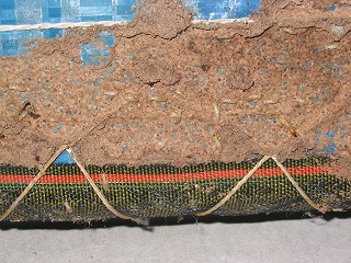 畳裏側までシロアリの蟻土が広がっています