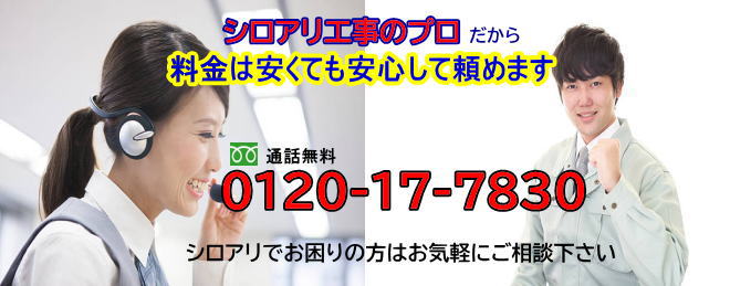 シロアリ工事のプロだから料金は安くても安心して頼めます。無料通話0120-17-7830