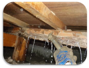 床下の被害の様子