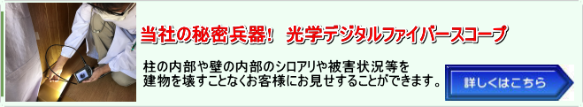 中京シロアリの秘密兵器ファイバースコープ