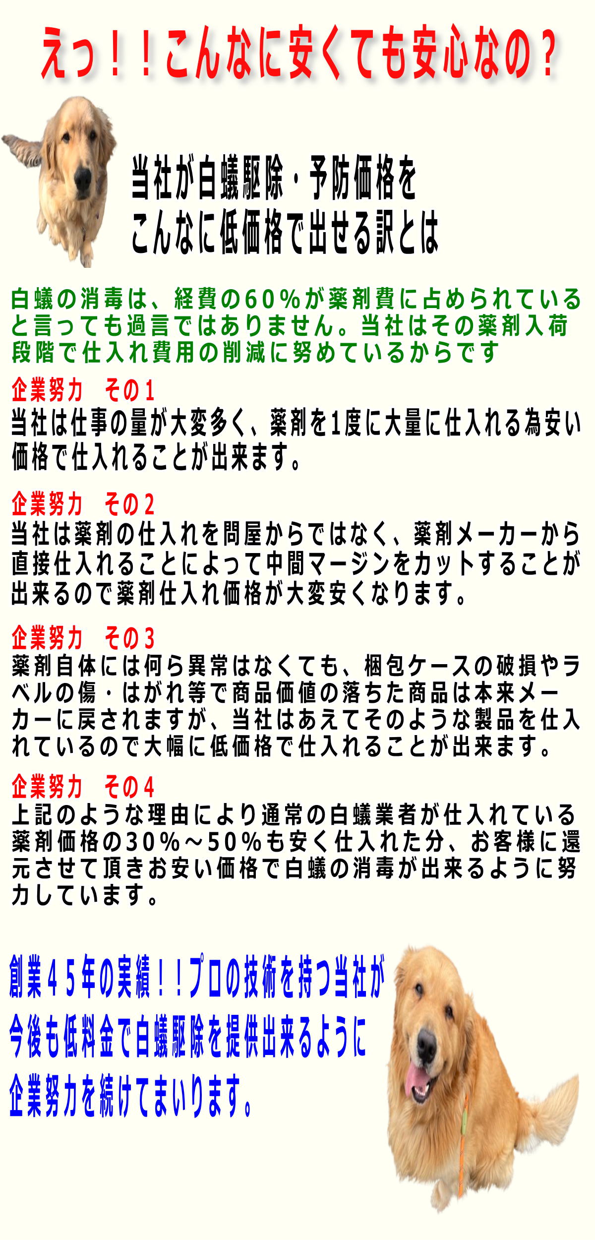 こんなに安くても安心なの?